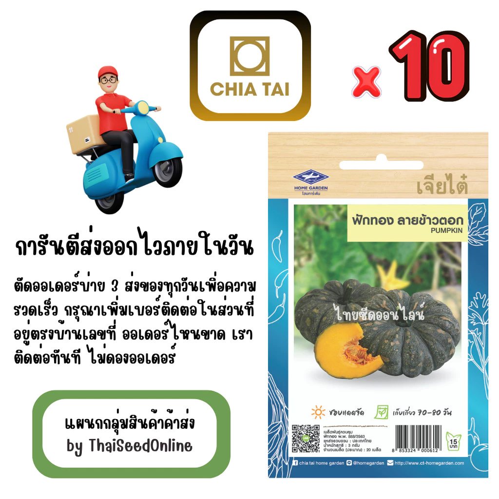เจียไต๋ CTOP x 10 เมล็ดผักซองเจียไต๋ ฟักทองลายข้าวตอก สินค้ายกแพ็ค