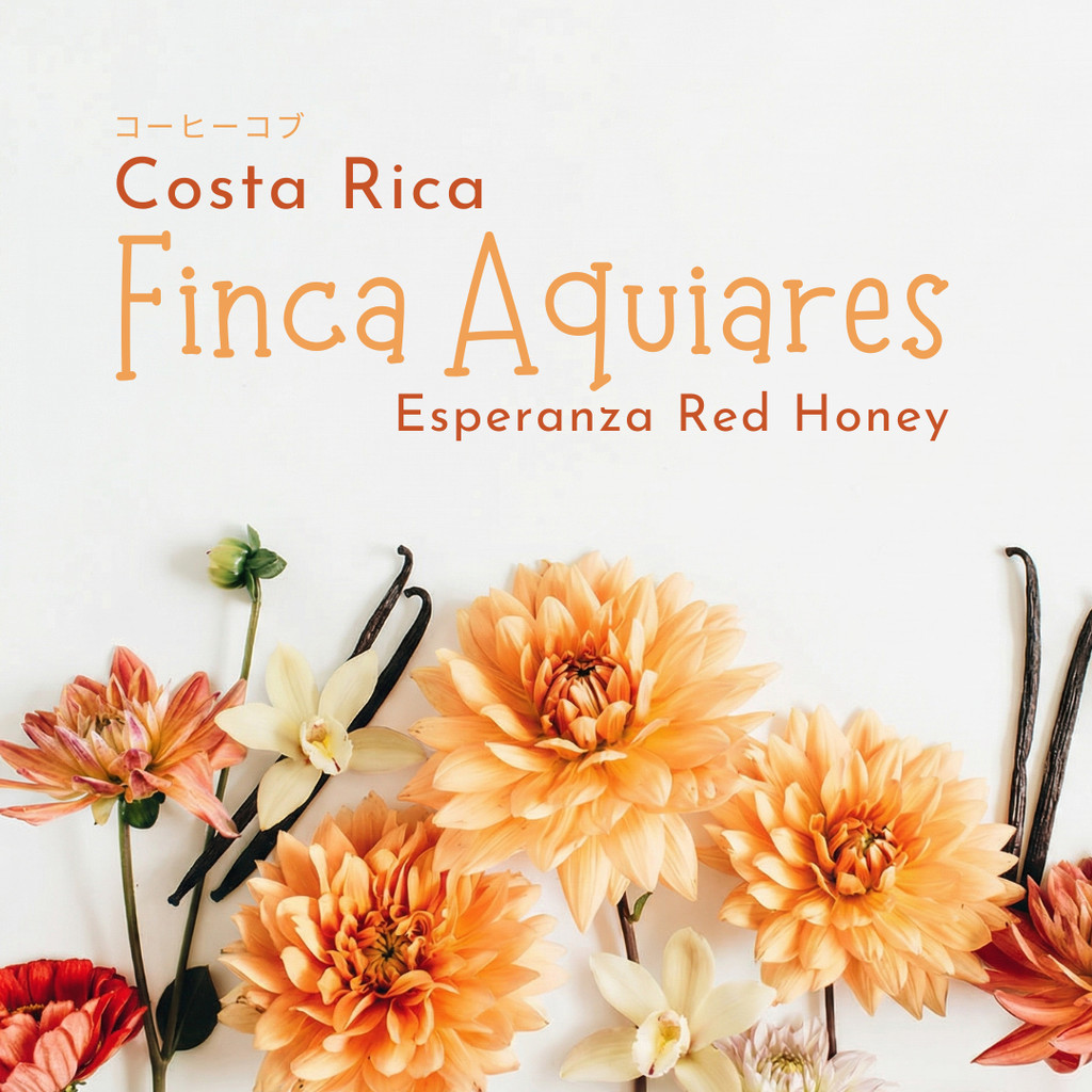 Costa Rica Finca Aquiares Esperanza Red Honey | เมล็ดกาแฟคั่วอ่อนสดใหม่