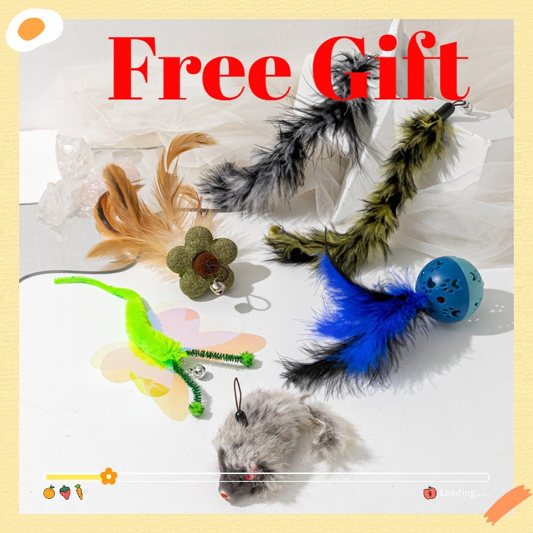 การประกันคุณภาพOYES CLYPET ของขวัญฟรีของฉัน Cat Teasing Stick Feather อุปกรณ์เสริมทดแทน