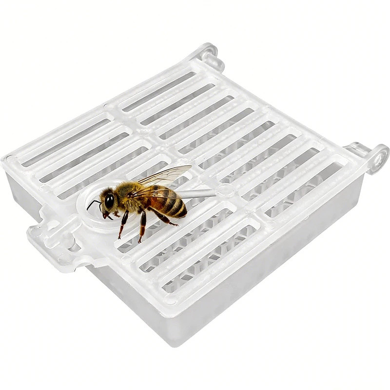 1/3/5 ชิ้น Square Queen Bee เซลล์กรง Mail Transport Queen Bee สําหรับการเลี้ยงผึ้ง Queen Catcher Tra