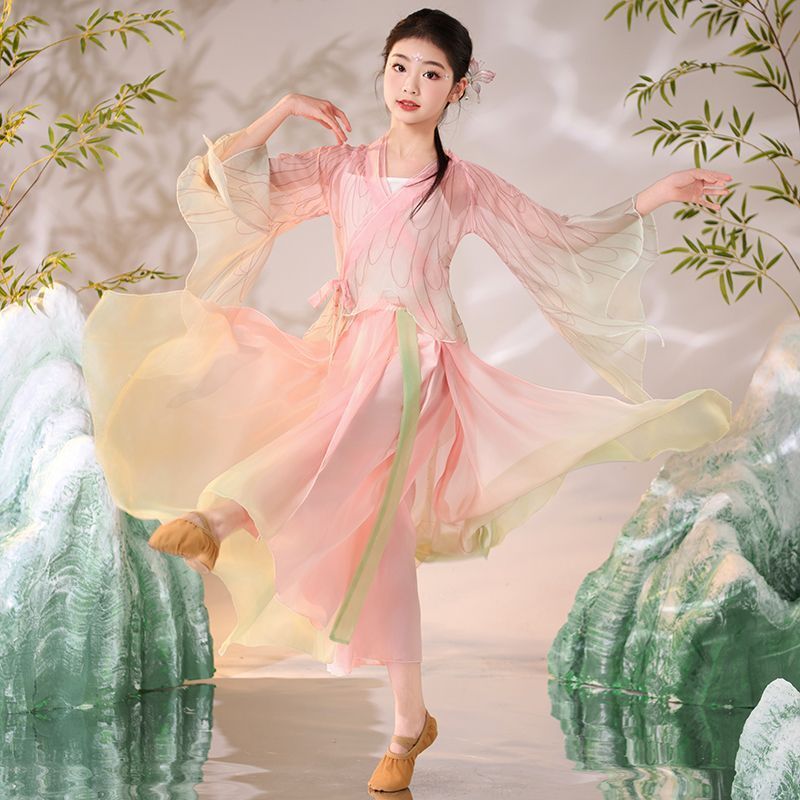 古典演出服女童飘逸身韵中国风练功服表演服艺考服装蝴蝶仙女26/4/14 Classical performance costume for girls, elegant and graceful, C