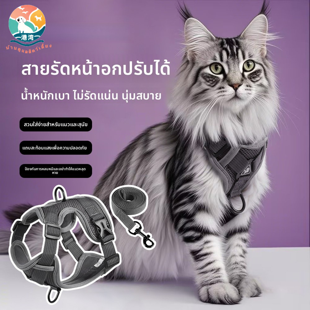 เชือกจูงแมว ป้องกันการหลุด สำหรับใช้ภายนอกอาคาร เชือกสไลด์สำหรับแมว โซ่สำหรับพาสัตว์เลี้ยงเดินเล่น ปรับได้