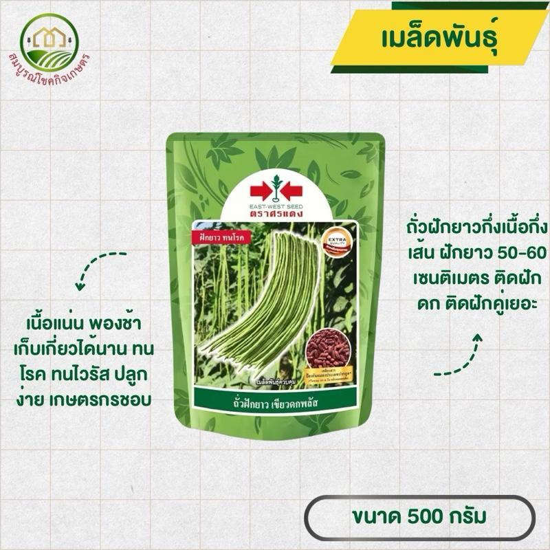 ถั่วฝักยาว เขียวดกพลัส 500 กรัม ถั่วกึ่งเนื้อกึ่งเส้น ถั่วต้านทานโรคไวรัส ฝักยาวสวย พองช้า ตราศรแดง