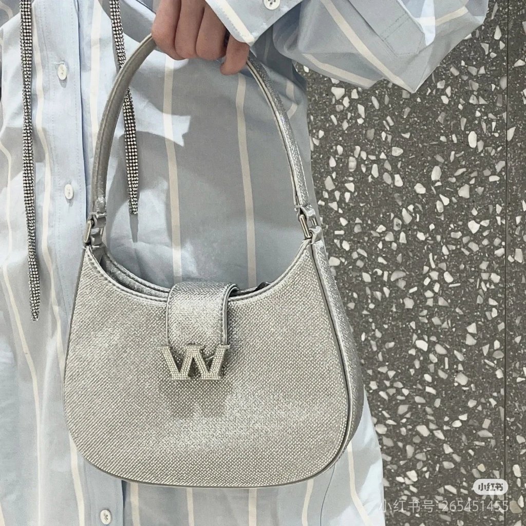 Alexander Wang Stray Bag สำหรับต้นฤดูใบไม้ผลิ แบบห้อยจากสายโซ่คู่ สามารถสวมบนไหล่และสะพายข้างได้ มาพ