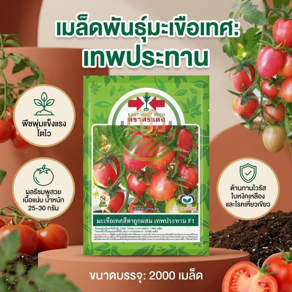 มะเขือเทศ สีดา เทพประทาน เมล็ดพันธุ์ มะเขือเทศสีดา ลูกผสม ตรา ศรแดง บรรจุ 2,000 เมล็ด