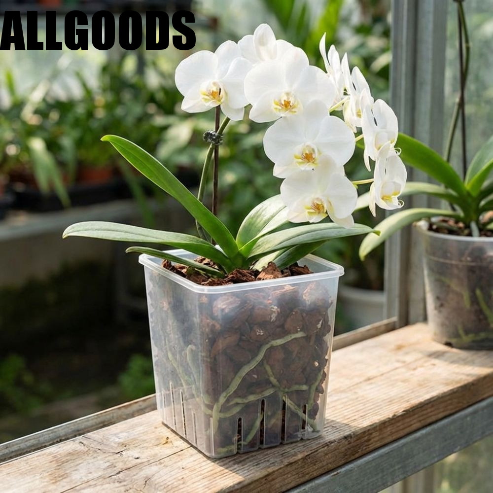 ALLGOODS Orchid Plant Grow Pot,รูระบายน้ําระบายอากาศสแควร์กระถางดอกไม้ใส,หม้อควบคุมรากป้องกันรากเน่าพลาสติกหนาBreathableต้นกล้าถ้วย