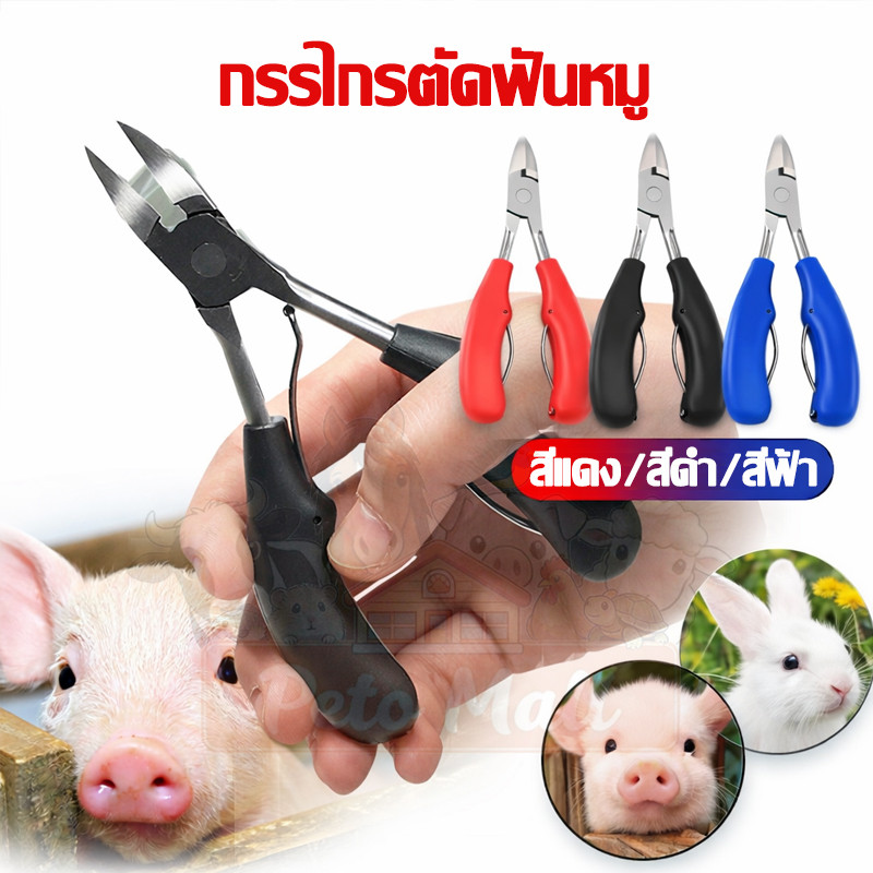 กรรไกรตัดฟันหมู คีมฟันหมู ตัดฟันกระต่าย กรรไกรตัดเขี้ยว ใช้ได้นาน สแตนเลส 12.5ฃม ด้ามจับกันลื่น