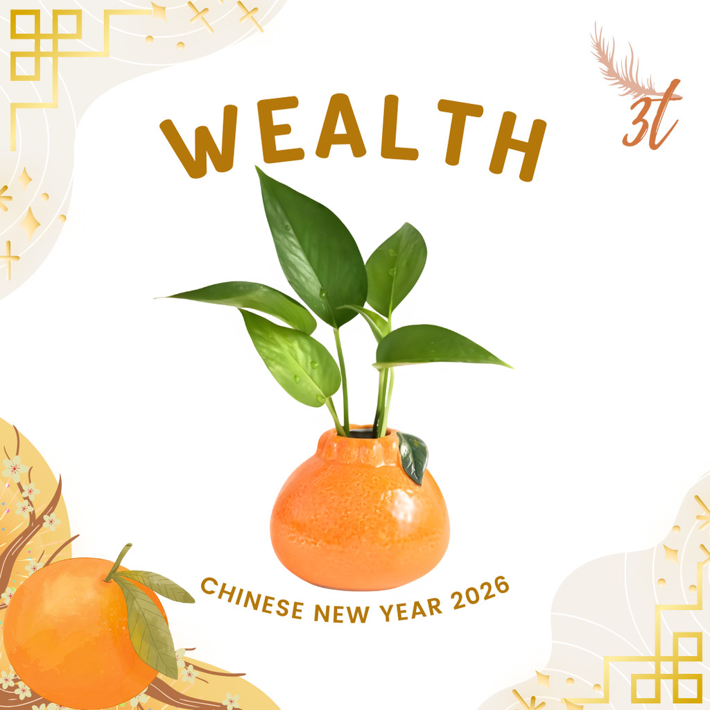 ความมั่งคั่ง CNY 2026 กระเช้า/ตรุษจีน 2026/Vas