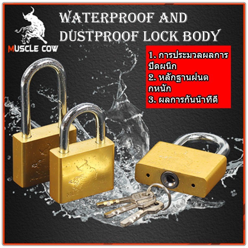 Muscle COW กุญแจ ระบบลูกปืน สีทอง และสีเงิน กุญแจลูกปืน กันน้ำได้ 60มม. คอสั้น คอยาว ขนาดเล็ก ใหญ่ รุ่นเหล็กชุบ แม่กญแจ - รูปที่ 4