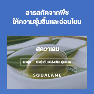Moisturizing ครีมวาสลีน แท่ง ครีมทาเท้าวาสลีน มอยส์เจอร์ไรเซอร์ ซ่อมแซมผิวแห้งเสีย ลดจุดด่างดำ