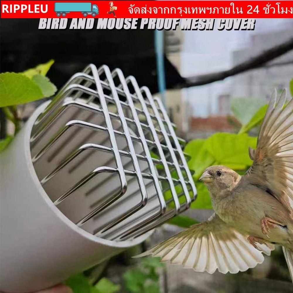 RIPPL ฝาครอบระบายน้ําระเบียง, การทิ้งขนาดใหญ่รอบท่อระบายน้ําชั้นหลังคา, สแตนเลสทนทานป้องกันการปิดกั้น หลังคา ฝนท่อหมวกระบายน้ําประปาฟิตติ้ง
