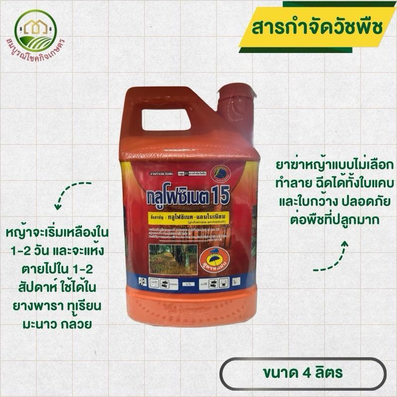 กลูโฟซิเนต 15 แกลลอนสีส้ม สูตรทนฝน ขนาด 4 ลิตร ยาฆ่าหญ้า ทำให้หญ้าตายเป็นฟาง ใช้กับหญ้าทุกชนิด ระยะปลอดฝน 3 ชั่วโมง