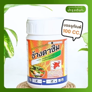คาร์เบนดาซิม – ตราช้างดาซิม – Carbendazim – สารป้องกันและกำจัดโรคพืช (เชื้อรา)