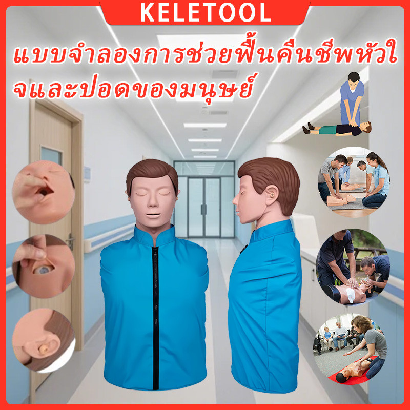 หุ่นจำลองฝึกการช่วยชีวิตขั้นพื้นฐานสำหรับผู้ใหญ่ (แบบครึ่งตัว)หุ่นจำลองการฝึก CPR/AED หุ่นจำลองการฝึ