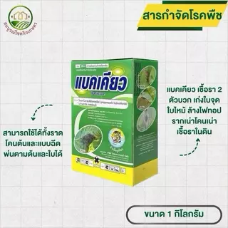 (ยกลัง 6/12 กก) แบคเคียว 2 พลังบวก ยับยั้งเชื้อราแบคทีเรีย ล้างไฟทอปเธอร่าทุเรียน รากเน่า โคนเน่า เน่าเละ ฉีดผ่าดอกได้