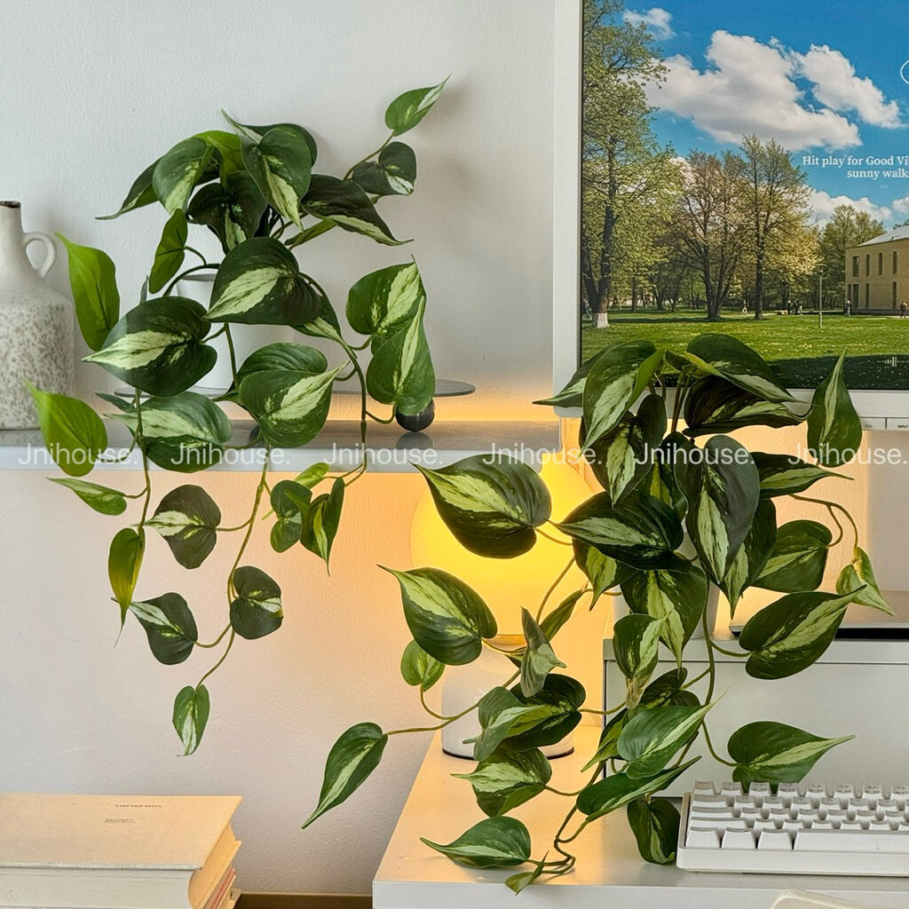พร้อมส่ง] Jnihouse : เถาพลูด่างประดิษฐ์ (Artificial Tree) ต้นไม้ประดิษฐ์กระถางขาว(SW024)