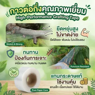 เทปพันกิ่งไม้ PE ยืดหยุ่นสูง-ติดเองได้ ไม่ต้องมัดเงื่อนให้เจ็บมือ แผลสนิทไว กิ่งติดชัวร์