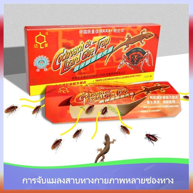 Xintai บ้านแมลงสาบ ดักจิ้งจก ดักแมลงสาบ กาวดักแมลงสาบ ที่ดักแมลงสาบ กับดักแมลงสาบ