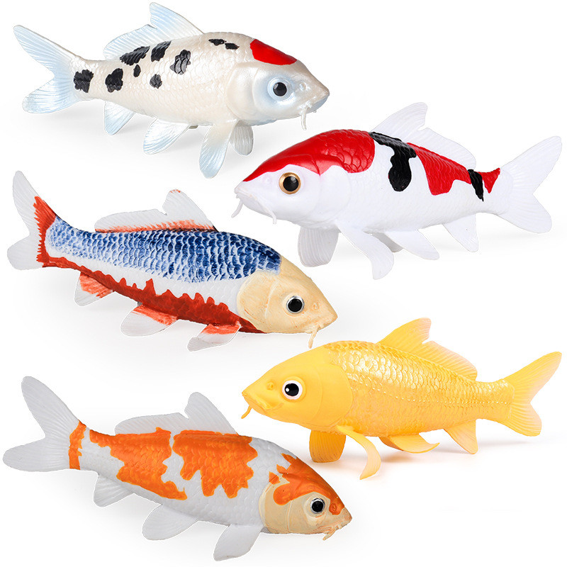 Solid Miniature น้ําจืด Koi ปลาคาร์พจําลองสัตว์ตกแต่งสําหรับของเล่นเด็ก Campus การสอนและตกแต่งบ้าน