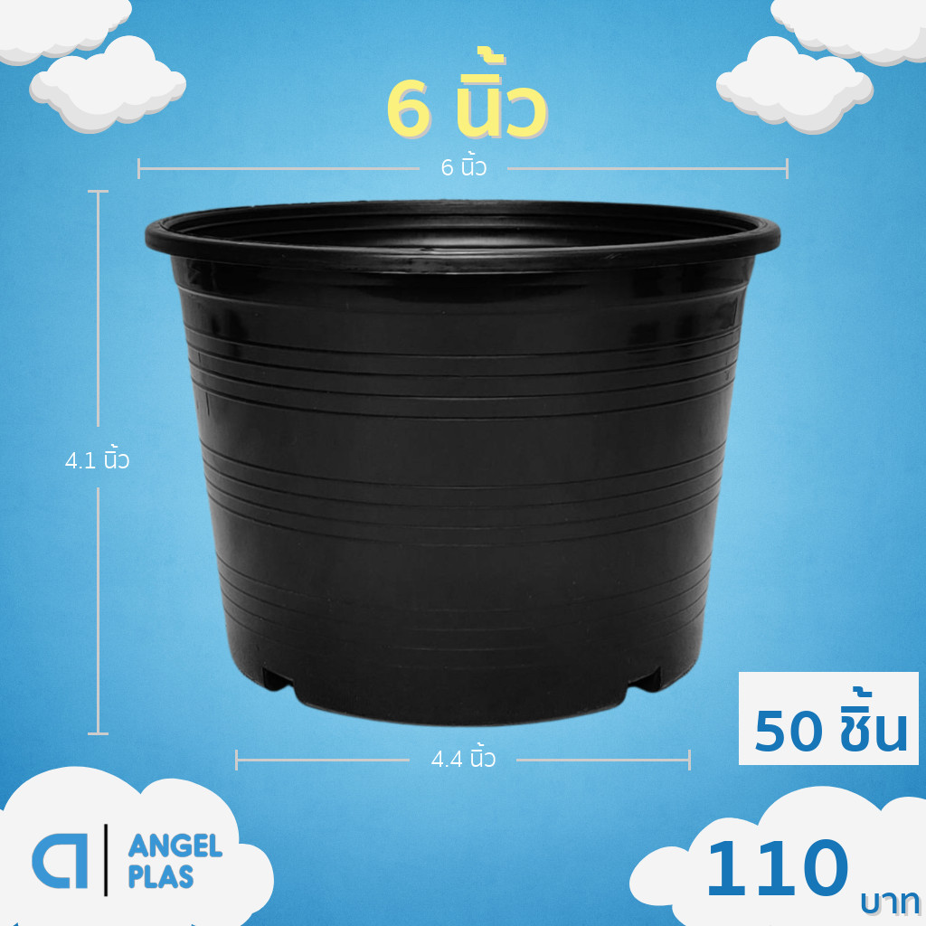 กระถาง กระถางต้นไม้ กระถางพลาสติก เบอร์ 6 นิ้ว สีดำ 50 ใบ ยกมัด