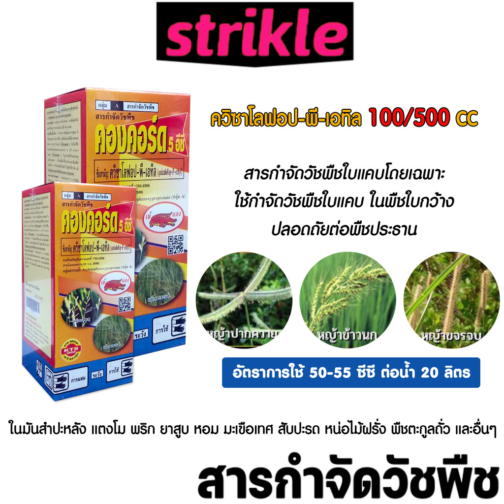 คองคอร์ด 5 อีซี สูตรน้ำ สำหรับดูแลและควบคุมวัชพืชใบแคบ ขนาด 500/1000 ซีซี งานเกษตรทั่วไป คุณภาพสูง