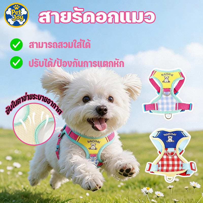 สายรัดอกแมว สายรัดอกแมวและสุนัข สายจูงแมว ผ้าตาข่าย ป้องกันหลุด ปรับขนาดได้ ระบายอากาศดี ดีไซน์น่ารัก