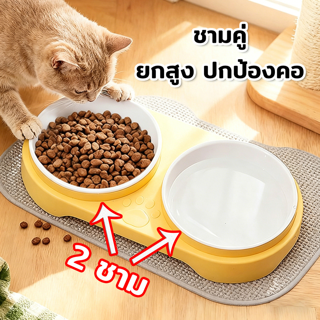 ชามแมววัสดุPP ชามอาหารแมว จานอาหารแมว ถอดออกได้ สองชั้นเพิ่มความลึก ปลอดภัยและไม่เป็นพิษ