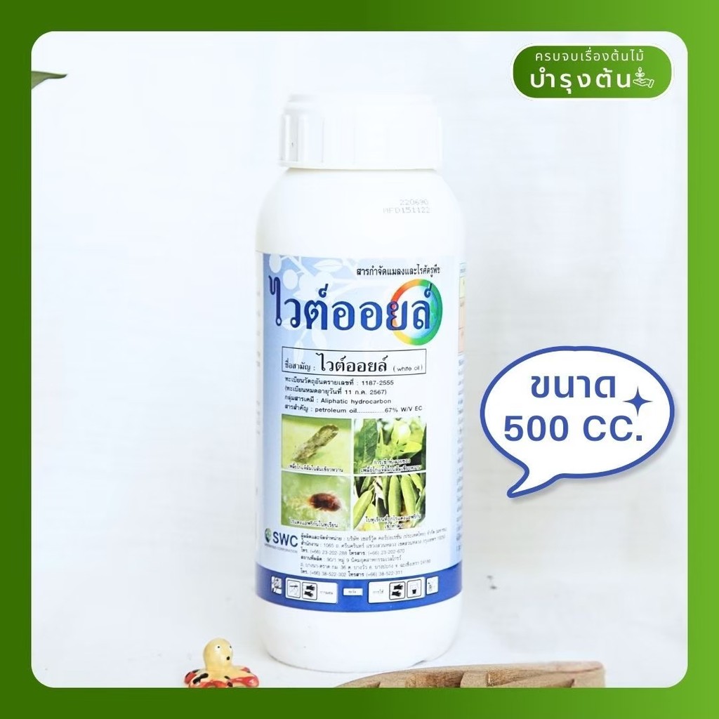 มุมมอง 4