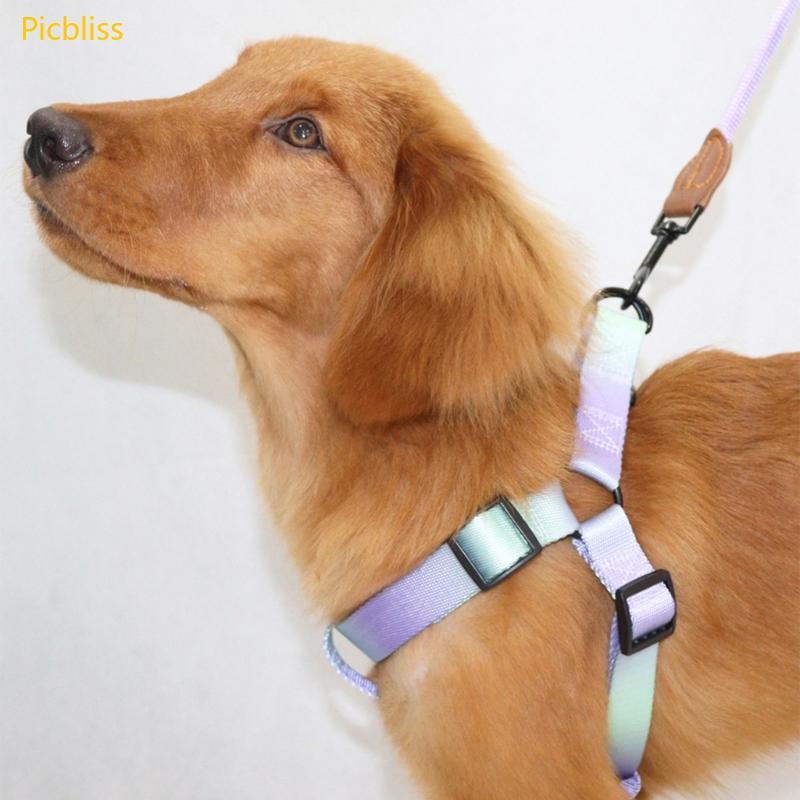 Picbliss Dogs Harness เข็มขัดปรับหน้าอกสุนัข Leash Walk Training Harness