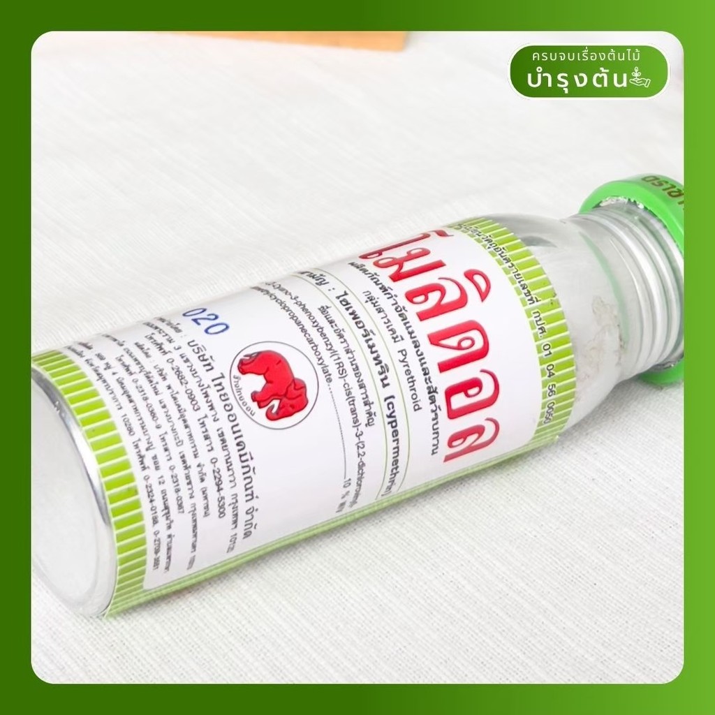 มุมมอง 2