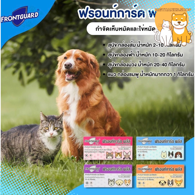 [ 1 กล่อง 1 หลอด ] FRONTGUARD Plus ฟรอนท์การ์ดพลัส [สำหรับแมว สุนัขและลูกสุนัข] แบบหยดกำจัดหมัดและเห็บ