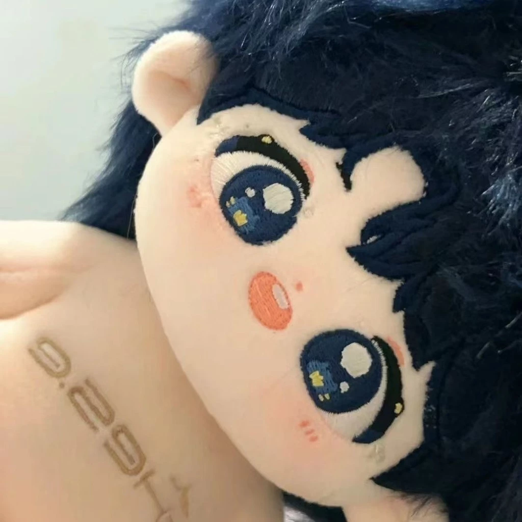ตุ๊กตา โจว เชน 20 ซม. รุ่นท่องเที่ยวร้องเพลงท่องเที่ยว