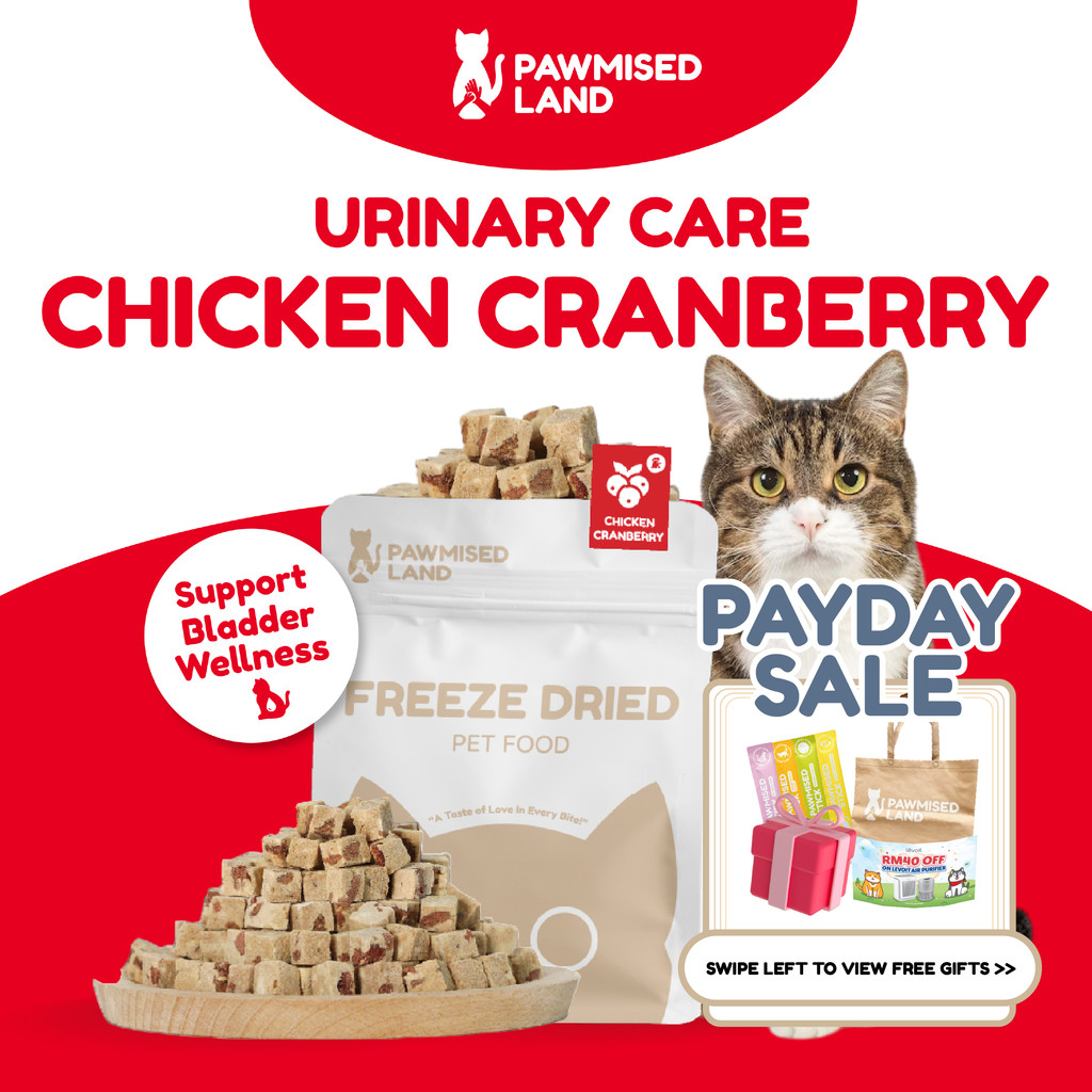 PawmisedLand Catty Munchies - Chicken Cranberry - Functional Series - Freeze Dry 125g อาหารสัตว์เลี้