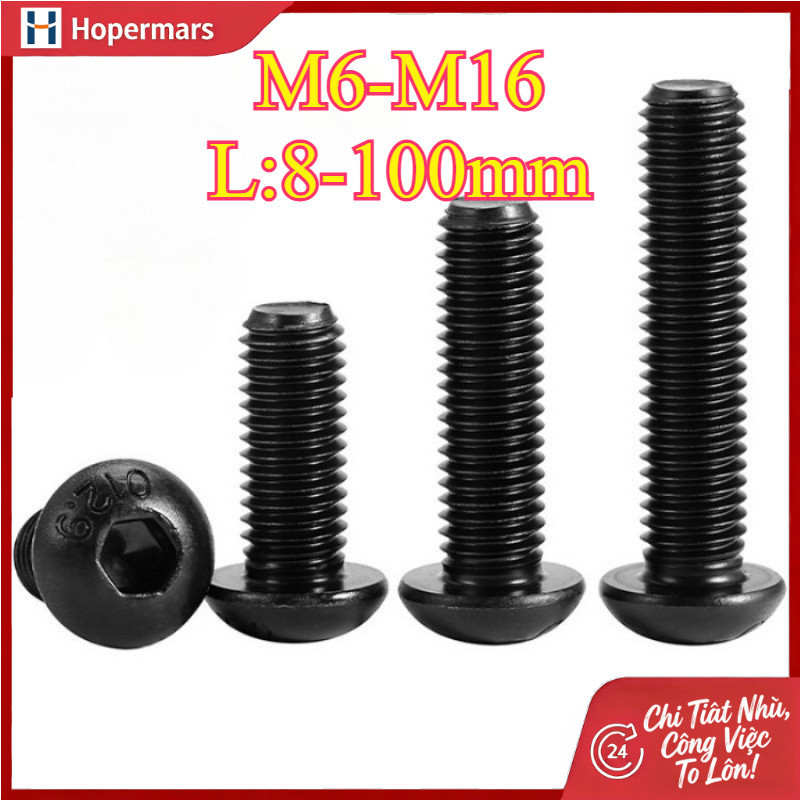 ✨12.9 เกรด High-Strength หัวกลมหกเหลี่ยมสกรูซ็อกเก็ตหัวกระทะสกรูครึ่งวงกลมถ้วยสลักเกลียว M6/M8/M10/M12/M16 (HA-LR-TH-1)