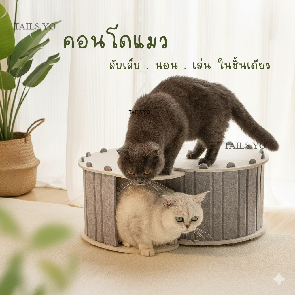 บ้านแมว คอนโดแมว ที่ลับเล็บแมว เล่นได้ ประหยัดพื้นที่ ประกอบเอง ลดข่วนโซฟา ที่นอนแมว พร้อมส่งจากไทย 
