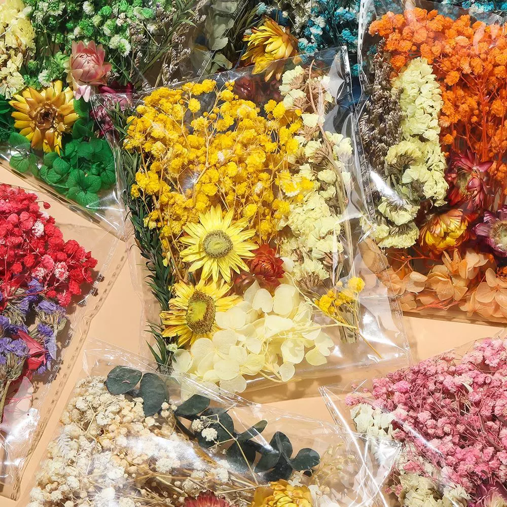 ดอกไม้อบแห้ง ดอกไม้จริงทับแห้ง คละแบบ สำหรับงาน DIY