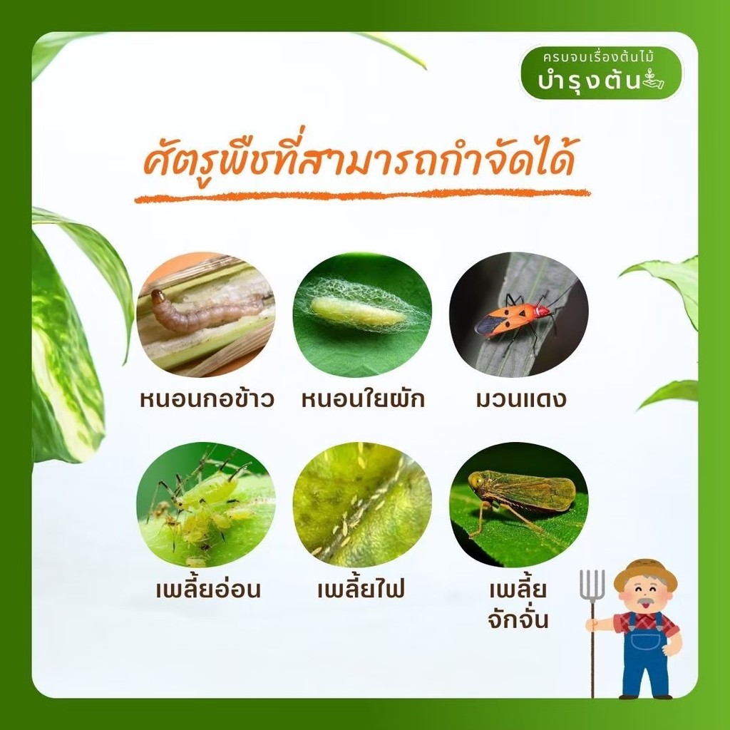 มุมมอง 4