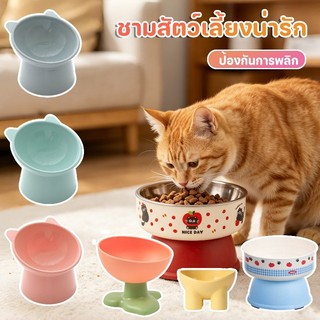 🥥COD🐾ชามอาหารสัตว์ ทรงเอียง ชามอาหารหมา ที่ใส่อาหารสัตว์เลี้ยง ชามสัตว์เลี้ยง อุปกรณ์ให้อาหารสัตว์  เอียง 15 องศา