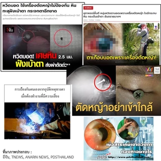 แว่นตานิรภัย, แว่นตาสวมแว่นตา, แว่นตาตัดหญ้า, แว่นตาป้องกันสารเคมี, แว่นตาก่อสร้าง, เลนส์ใส