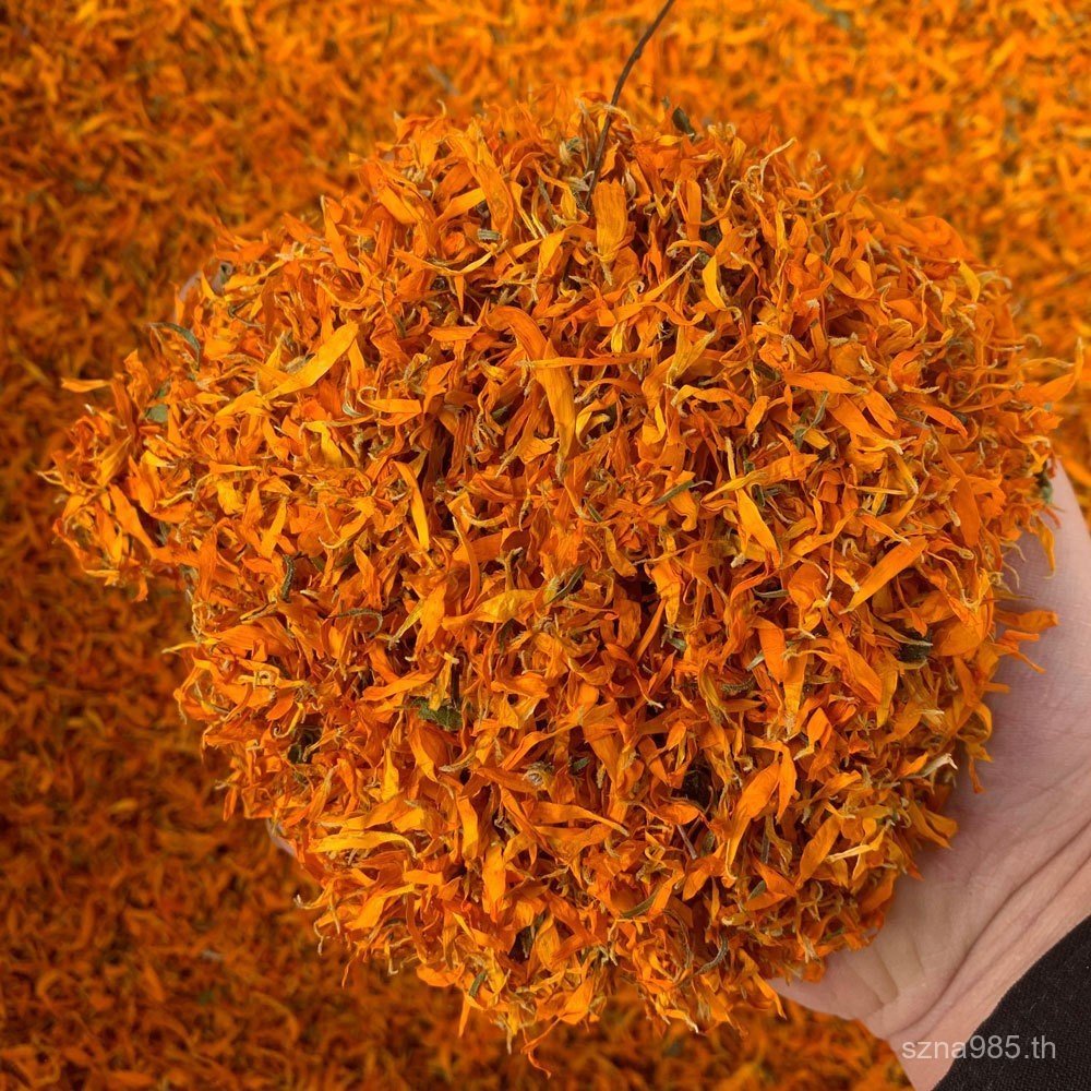 สัตว์เลี้ยงกลีบทํางานกลีบแห้ง Calendula Calendula 500 DIY คัดสรรกลีบตกแต่ง Calendula NY9D