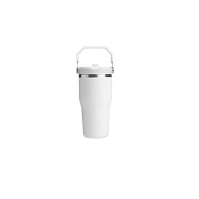 Iceflow Flipstraw 2.0 Tumbler 591ml x 1