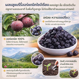 💕【ผู้ขายในพื้นที่】🇹🇭บลูเบอร์รี่อบแห้งไม่มีน้ำตาล【COD】🍇อุดมแอนโทไซยานิน พร้อมทาน 100g/บลูเบอร์รี่