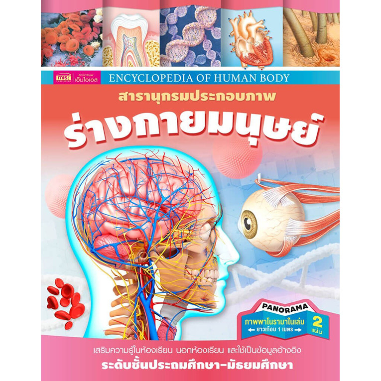 Se-ed (ซีเอ็ด) : หนังสือ Encyclopedia of Human Body สารานุกรมประกอบภาพ ร่างกายมนุษย์ (ปกแข็ง)