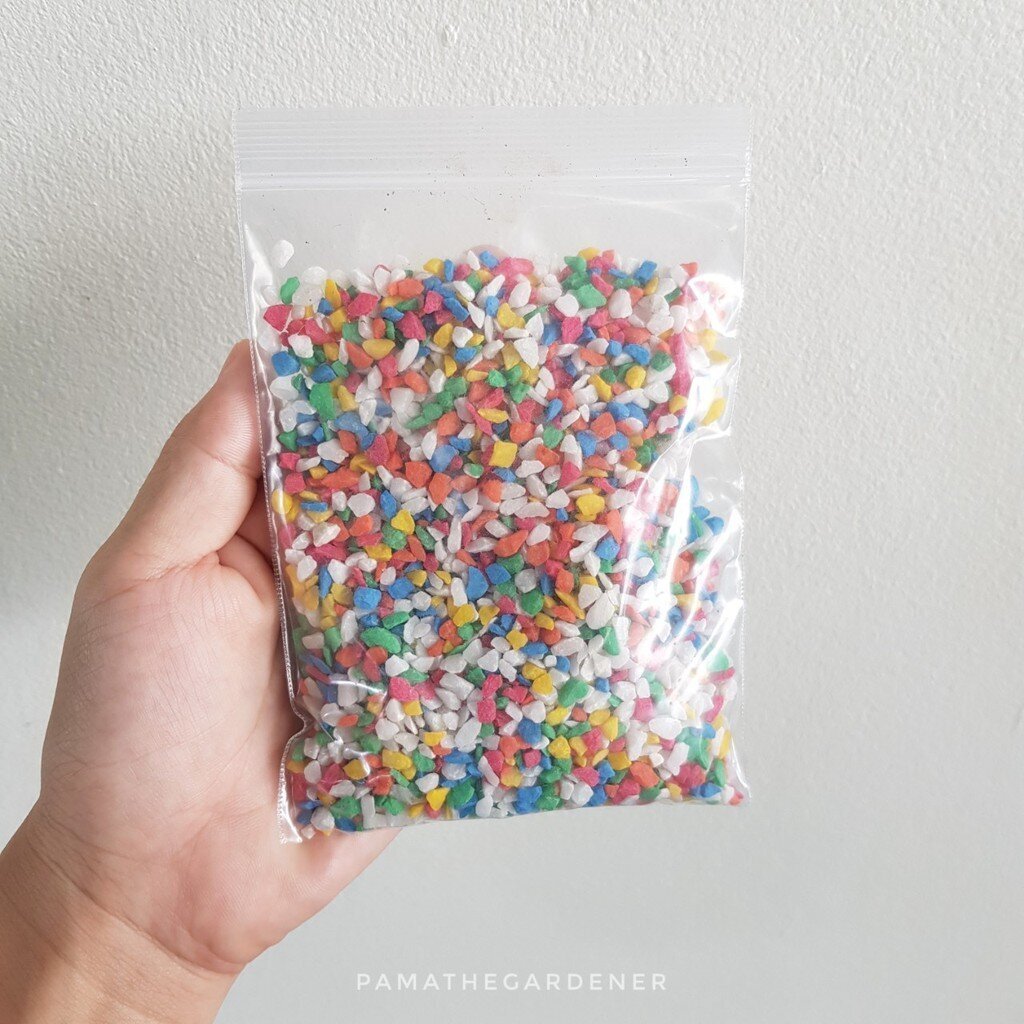 มุมมอง 6