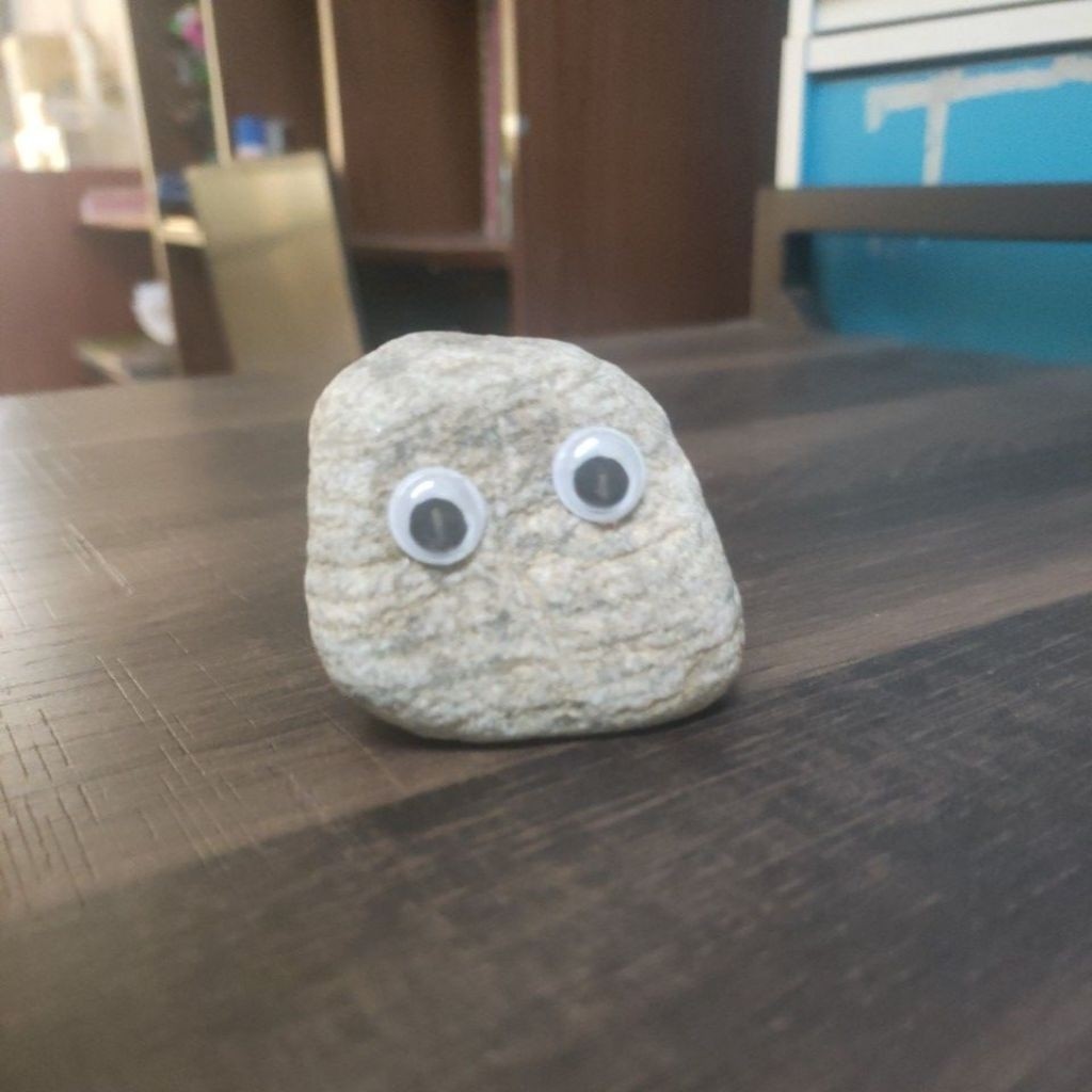 Pet Rock Accessories – Mini Rock Pet with Cozy Home, ของตกแต่งเดสก์ท็อปน่ารักและสร้างสรรค์, สหายที่ส