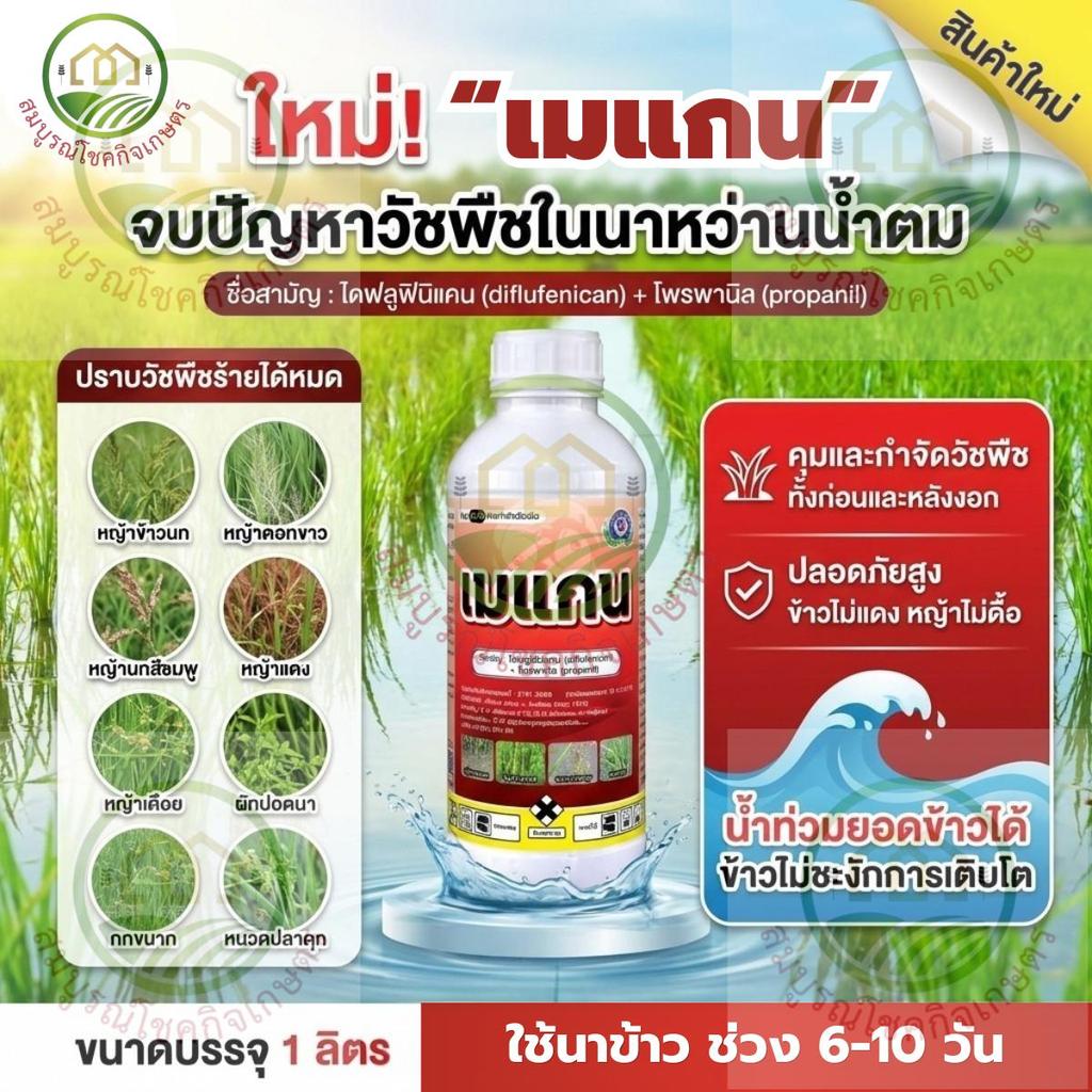เมแกน คุมฆ่าหญ้านาข้าว 6-14 วัน สารไดฟลูฟีนิแคน + สารโพรพานิล กำจัดหญ้าข้าวนก หญ้าดอกขาว หญ้านกสีชมพู หญ้ากระดูกไก่