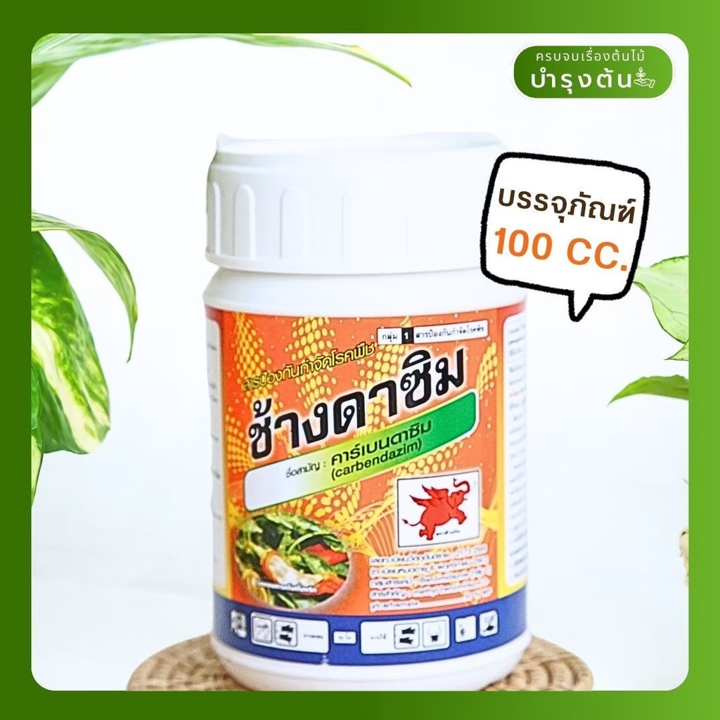 มุมมอง 2