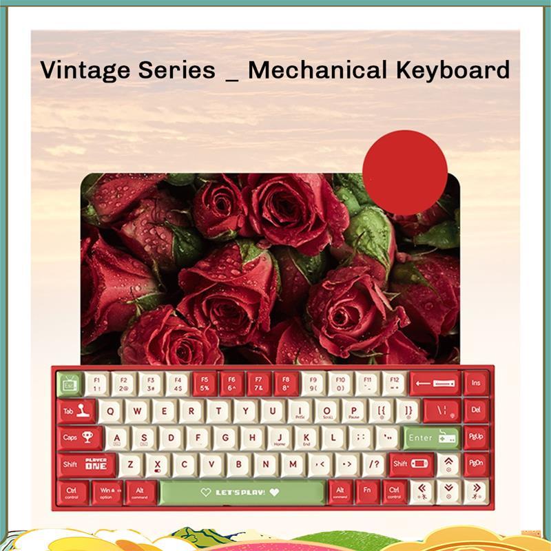 AK680 คีย์บอร์ดเกมคีย์บอร์ด ABS Keycap 68 คีย์คีย์บอร์ดแบบมีสาย Hot Swap สําหรับแล็ปท็อปพีซี
