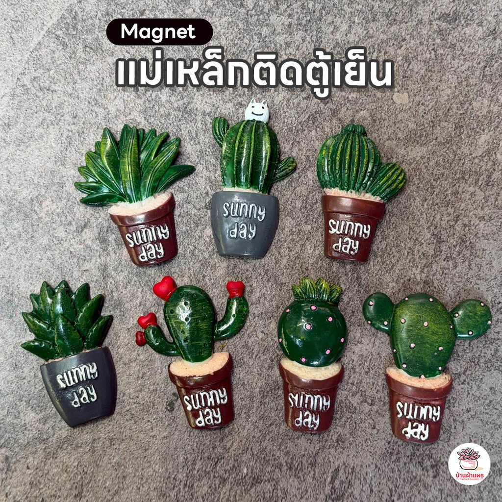 แม่เหล็กติดตู้เย็น #SunnyDay แม่เหล็กกระบองเพชร แคคตัส กระบองเพชร ไม้อวบน้ำ cactus&succulent