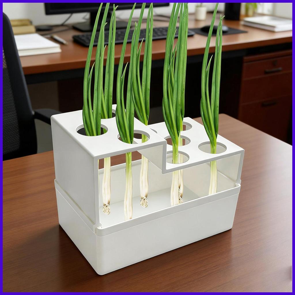 Green Onion Regrower อุปกรณ์ทําสวนแบบใช้ซ้ําได้ Spring Onion Sprouting Container สําหรับผักไฮโดรโปนิ